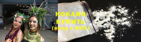 твердый Пересвет