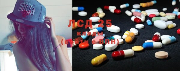 эйфоретик Ладушкин