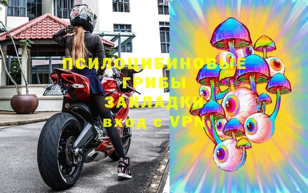 Альфа ПВП Новозыбков