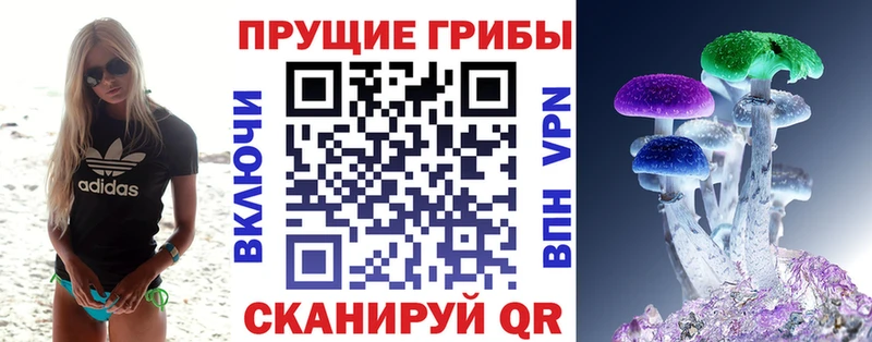 магазин Тимашёвск Галлюциногенные грибы прущие грибы