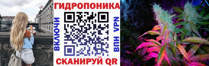 MEGA зеркало  Тимашёвск  Марихуана Amnesia 